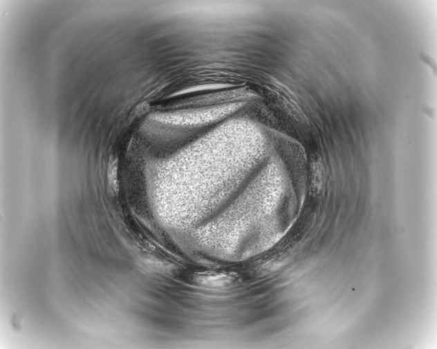 X0000093160267200710241025