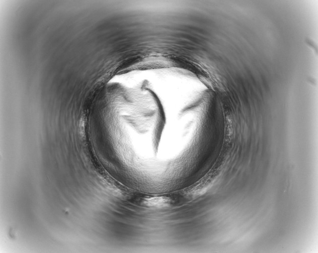 X0000093160269200710241025