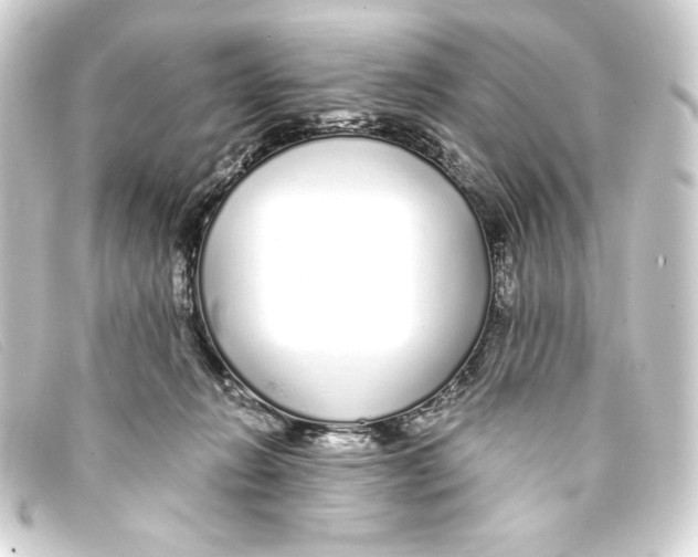 X0000093160270200710241026