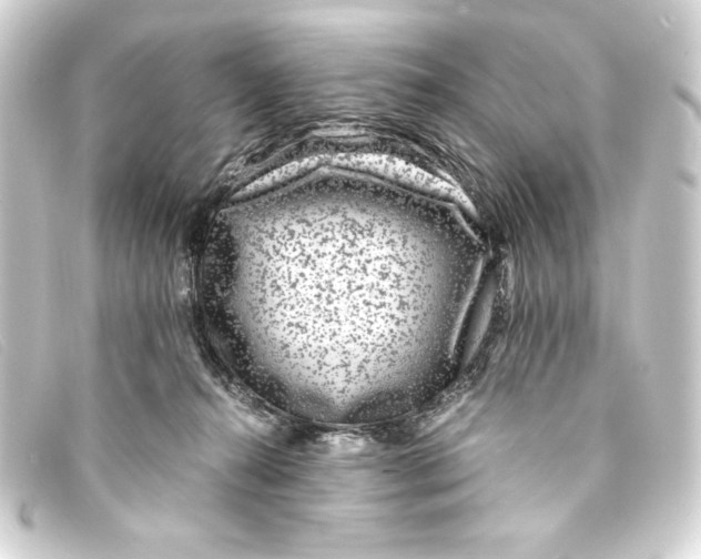 X0000093160272200710241026