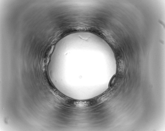 X0000093160273200710241026