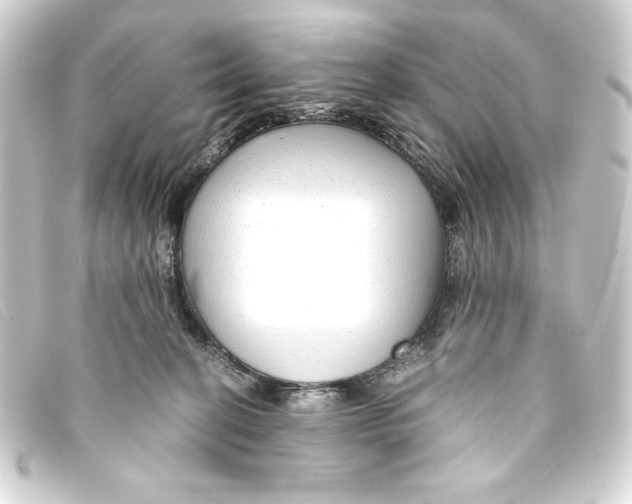 X0000093160274200710241026