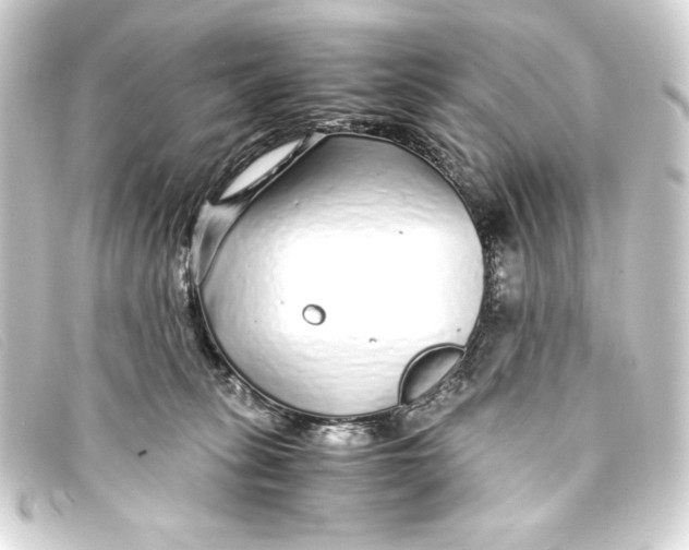 X0000093160275200710241026