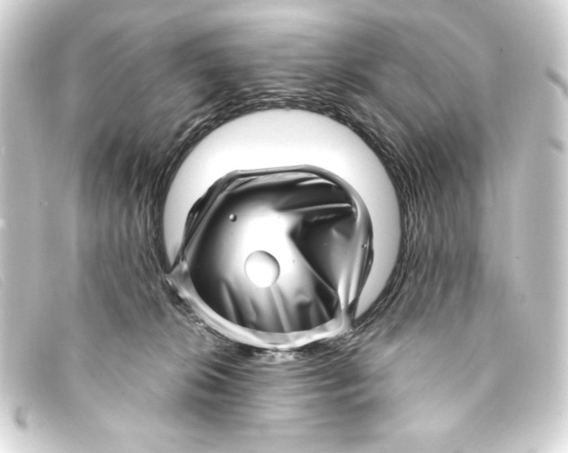 X0000093160276200710241026