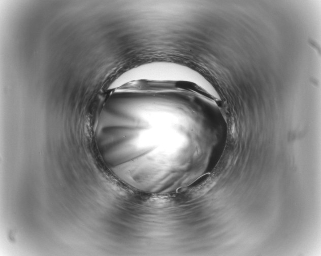 X0000093160280200710241026