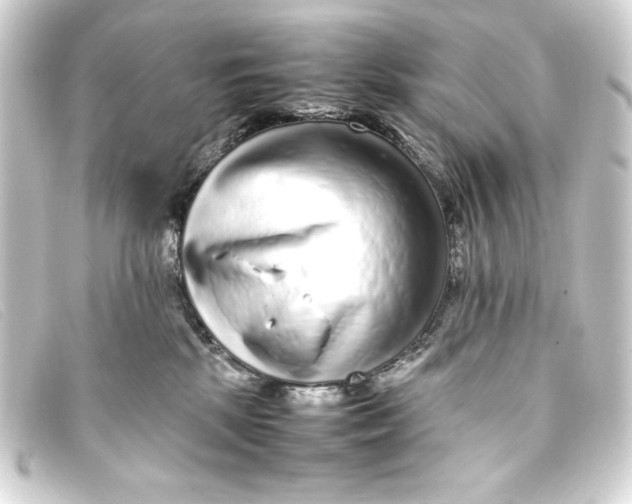 X0000093160281200710241026