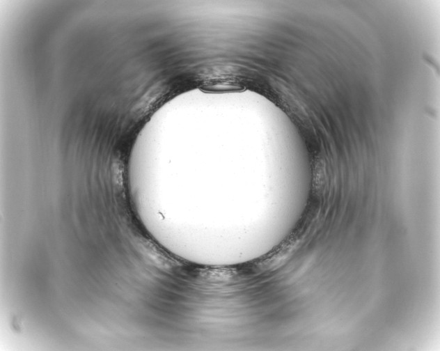 X0000093160282200710241026