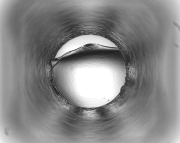 X0000093160283200710241026
