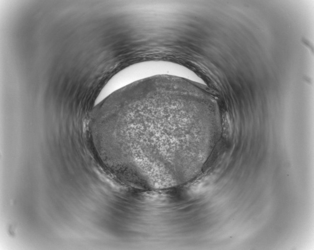 X0000093160284200710241026