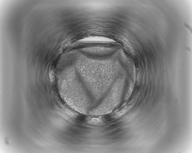 X0000093160285200710241026