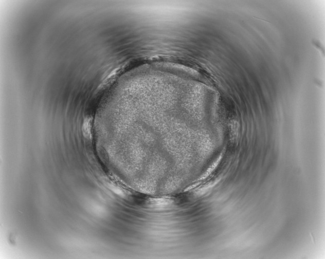 X0000093160286200710241026
