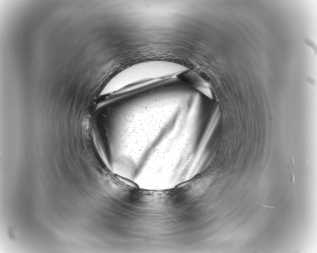 X0000093160288200710241026