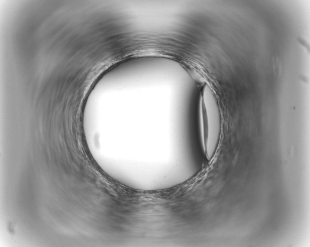 X0000093160289200710241025