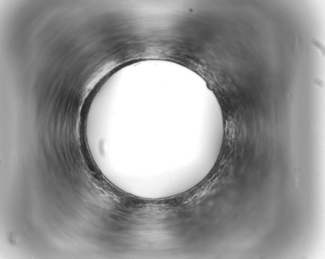 X0000093160292200710241025