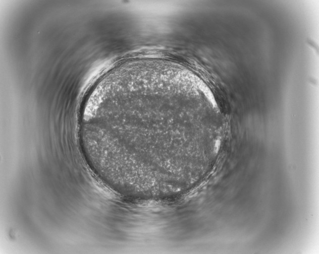 X0000093160293200710241025