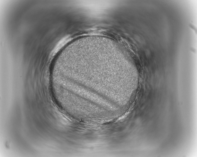 X0000093160295200710241025