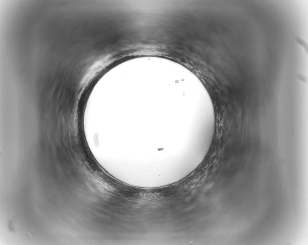 X0000093160296200710241025