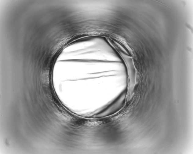 X0000093160299200710241025