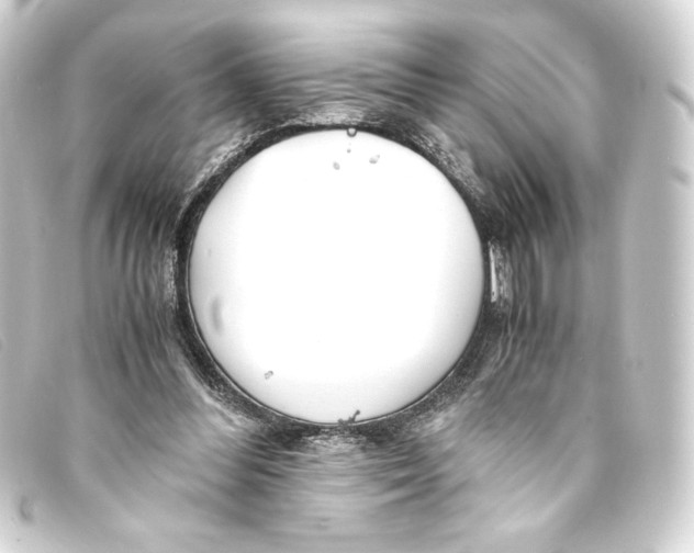 X0000093160300200710241025