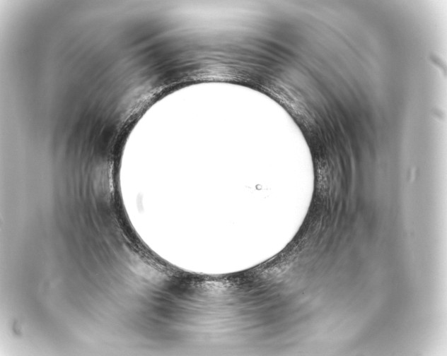 X0000093160302200710241025