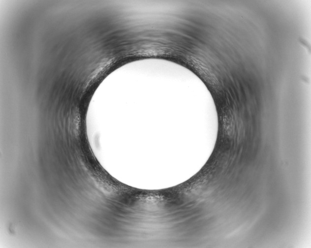 X0000093160304200710241025