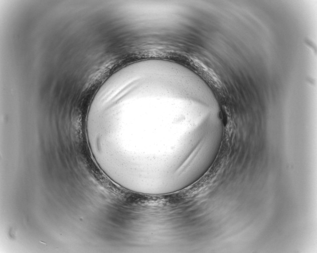 X0000093160306200710241025