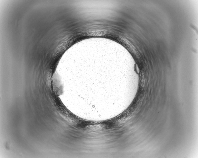 X0000093160307200710241025