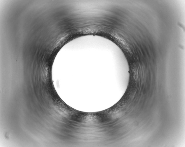 X0000093160308200710241025