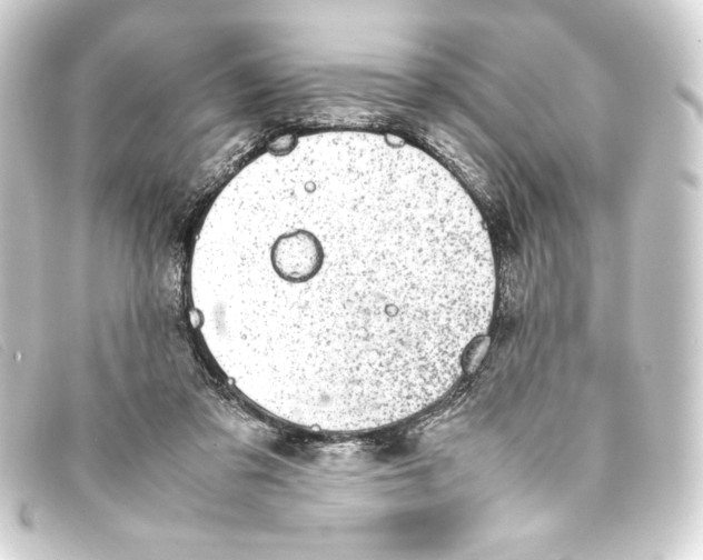 X0000093160309200710241025