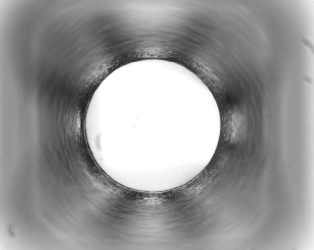 X0000093160310200710241025