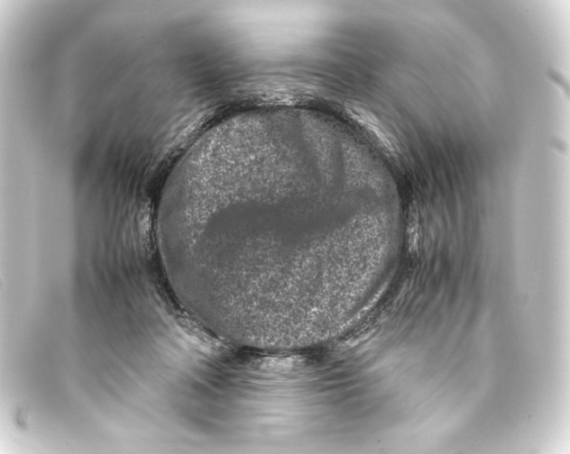 X0000093160314200710241025