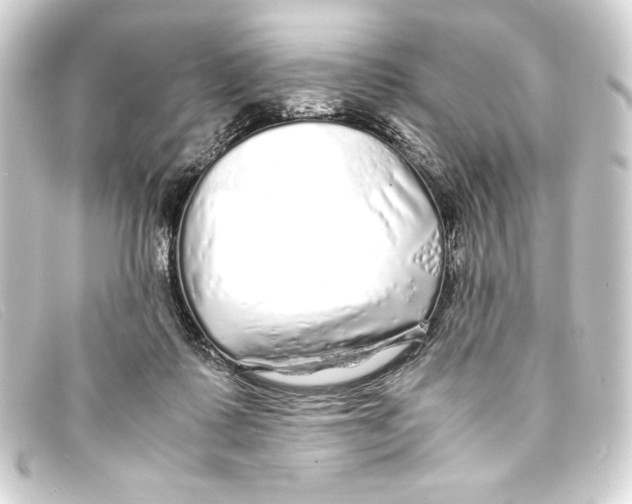 X0000093160315200710241025