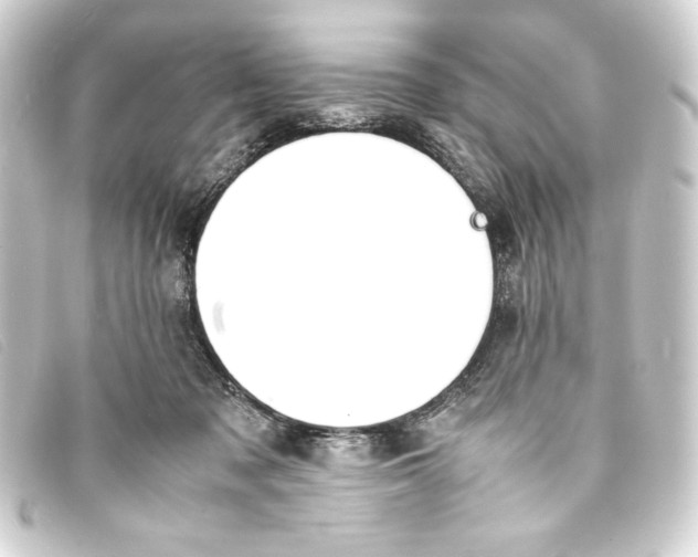 X0000093160317200710241025