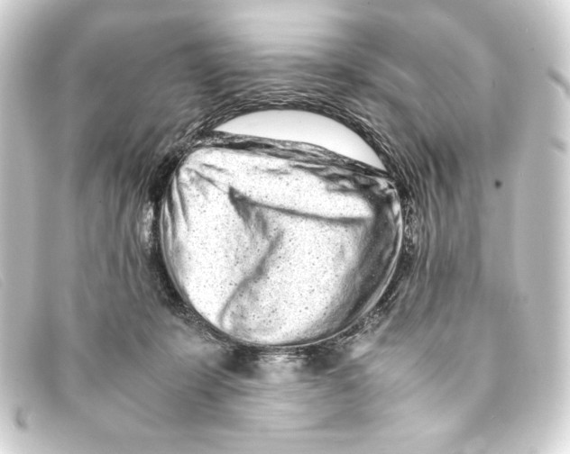 X0000093160319200710241025