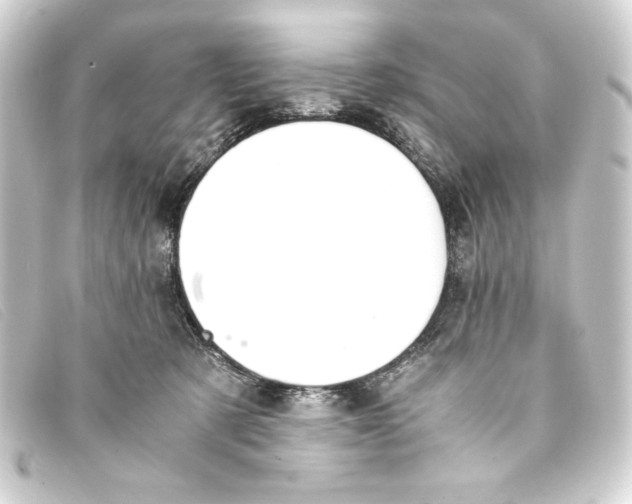 X0000093160321200710241025