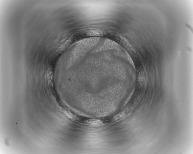 X0000093160322200710241025