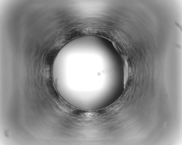 X0000093160323200710241025