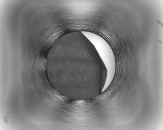 X0000093160325200710241025