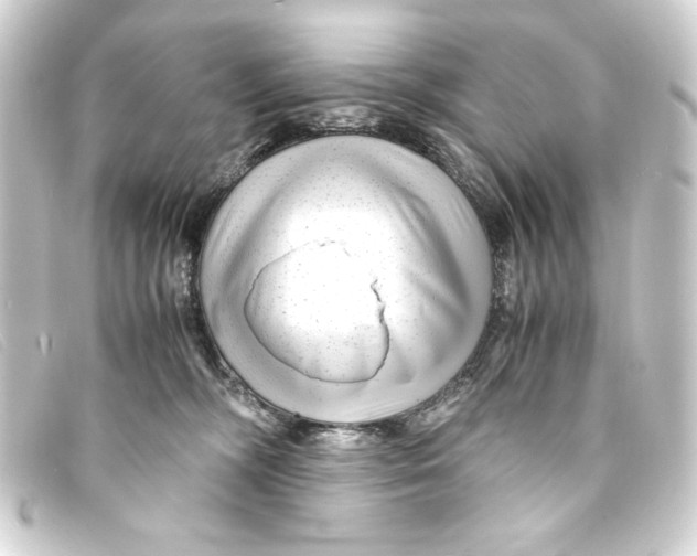 X0000093160326200710241025