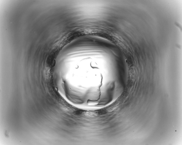 X0000093160327200710241025