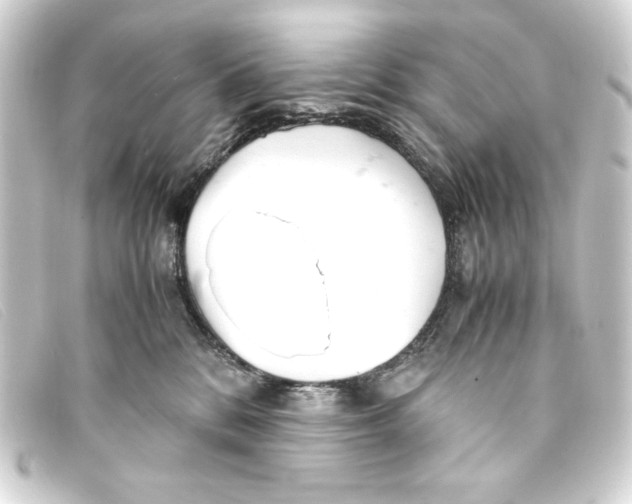 X0000093160328200710241025