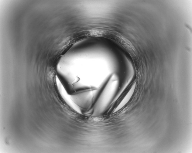 X0000093160329200710241025