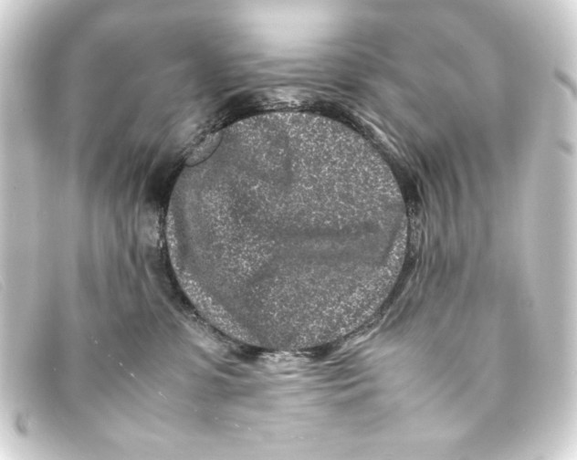 X0000093160331200710241025