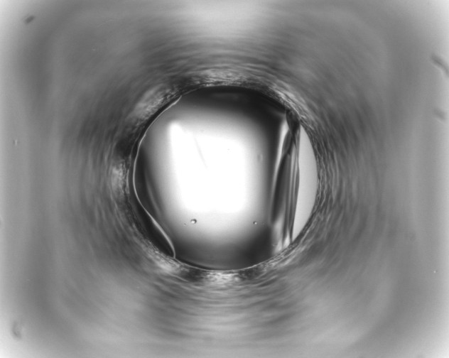 X0000093160333200710241025