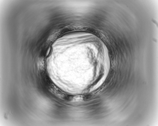 X0000093160335200710241025