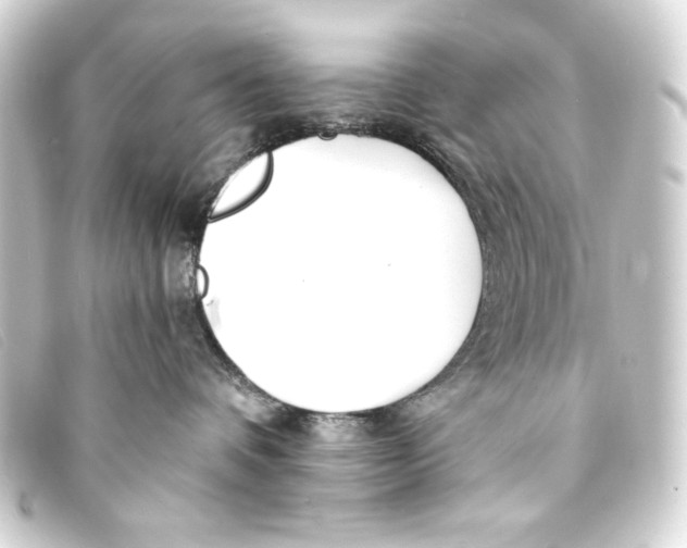X0000093160336200710241025
