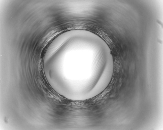 X0000093160338200710241024