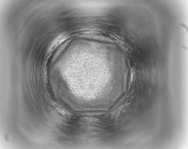 X0000093160339200710241024