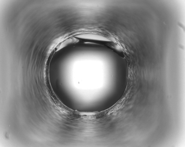 X0000093160340200710241024