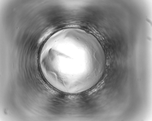 X0000093160341200710241024